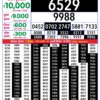Rajshree Lottery 8 PM Result Out: Complete Winner List 24/08/26